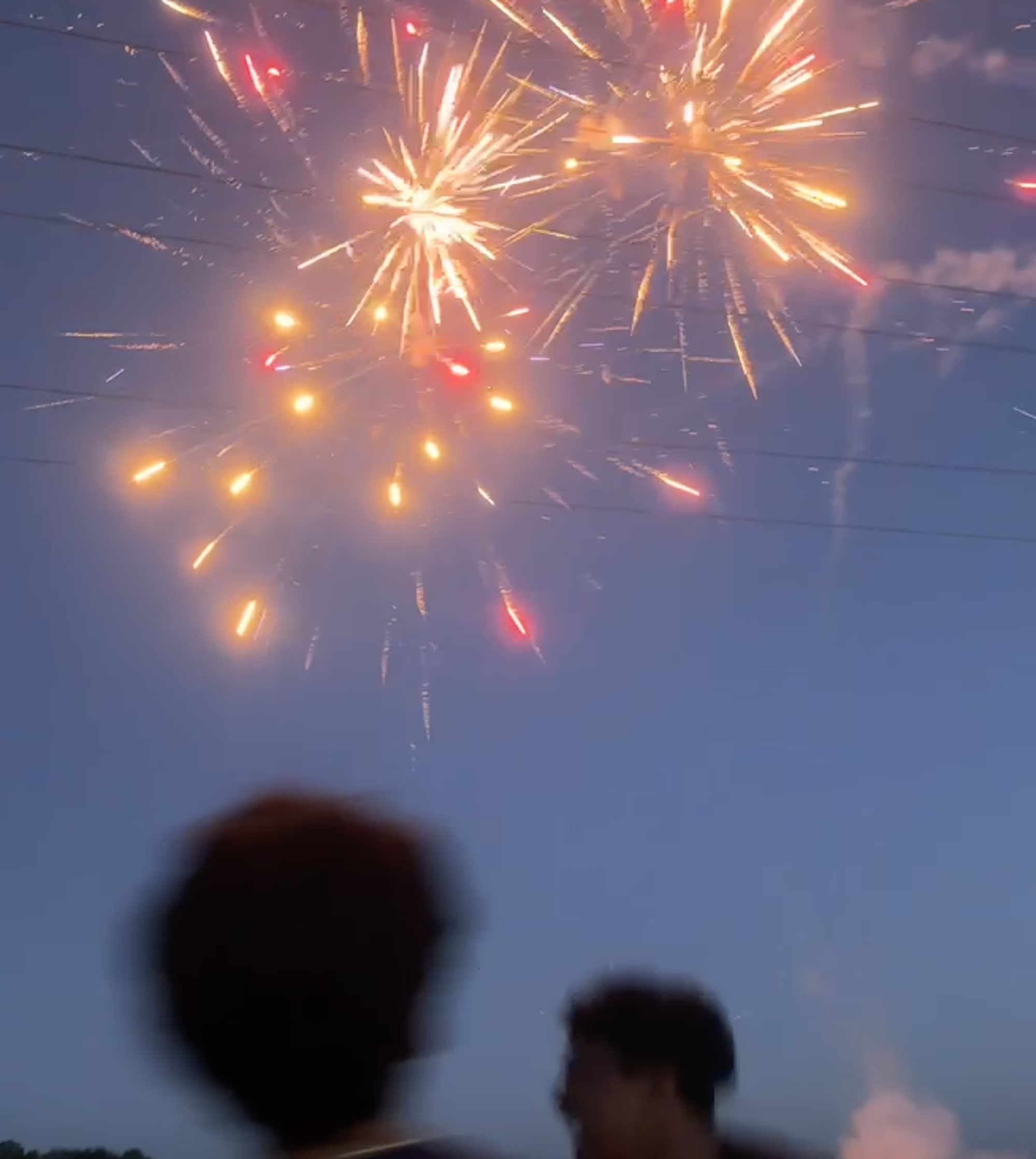 Fireworks lighting up the evening sky